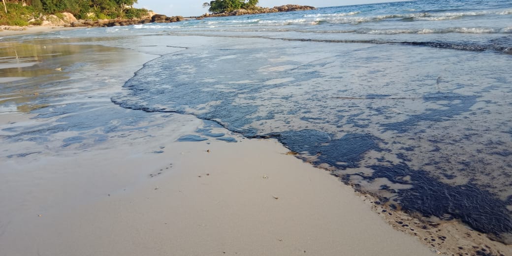 Limbah Minyak Hitam Cemari Pantai Bintan