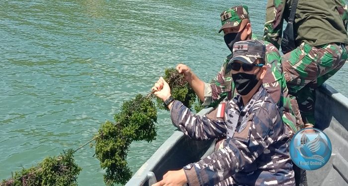 Danlanal Karimun Kunjungi Budi Daya Rumput Laut Desa Jang Moro