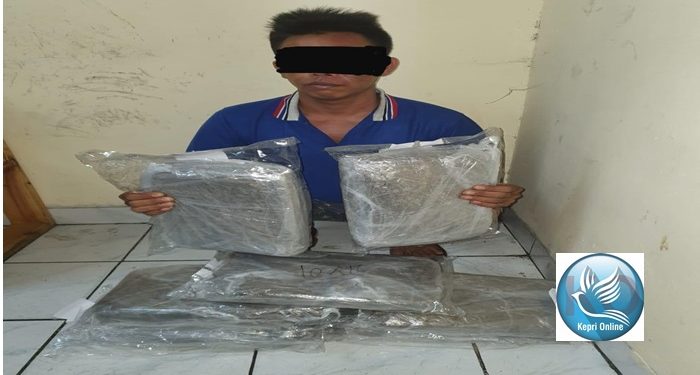 Polisi berhasil mengamnkan ganja kering