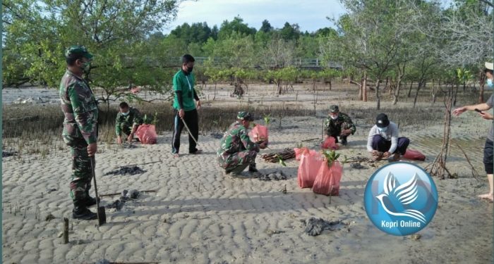 Penanaman 400 Bibit Mangrove di Wilayah kodim 0317/TBK