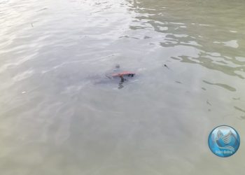 penemuan mayat di Meral kota tadi pagi