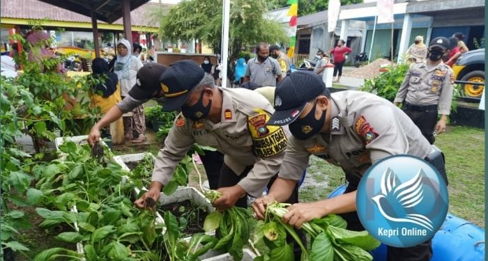 Polsek Moro Bagikan Hasil Panen Sayur dan Lele Kemasyarakat