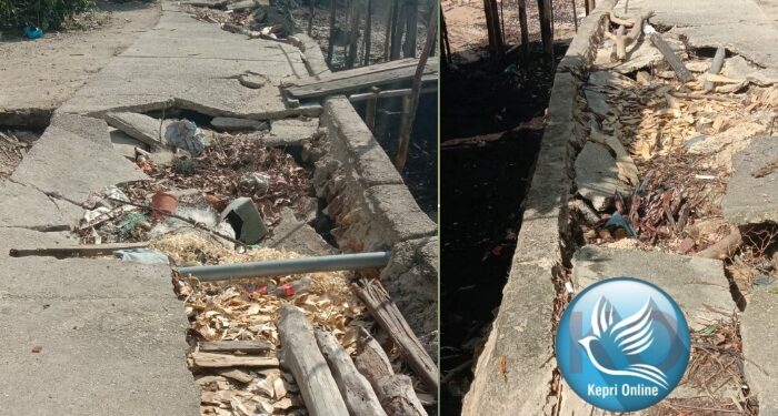 Prihatin! Jalan rusak Resahkan Warga Dusun Kericik