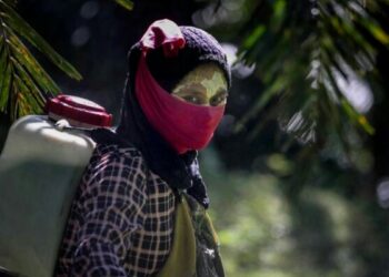Potret Perempuan Pekerja di Lahan Sawit, Diperkosa Bos hingga Keguguran karena Kerja Berat dan Takut Dipecat