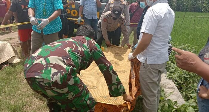 Dalam 11 Hari, 4 Warga Tewas Kena Jebakan Tikus Listrik, Bupati Ngawi akan Sanksi Kades