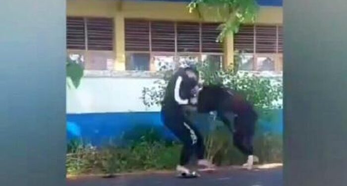 2 Remaja Putri di Sinjai yang Duel di Jalan-Got Dipicu Saling Sindir Story WA