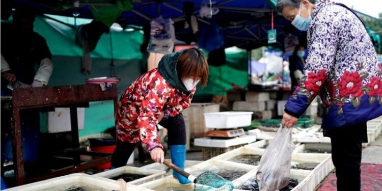 Penyelidikan Asal-Usul Covid 19, WHO ditolak masuk ke China