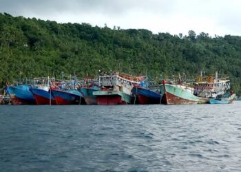 Muncul 5 Menit Lalu Hilang 24 Jam, Sinyal Internet Desa Nyamuk Anambas Hilang