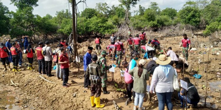 Memperingati Hari Dharma Samudera, Laznas LMI dan RMI Tanam 1.000 Mangrove