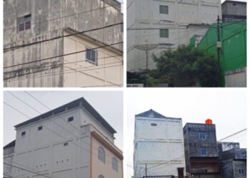 Miris, Sepanjang Tahun 2020 Rata-rata Usaha Sarang Burung Walet Hanya Produksi Kurang Dari 6 ons