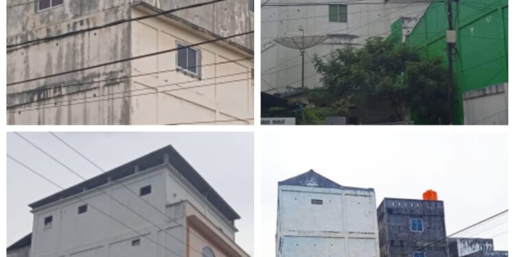 Miris, Sepanjang Tahun 2020 Rata-rata Usaha Sarang Burung Walet Hanya Produksi Kurang Dari 6 ons