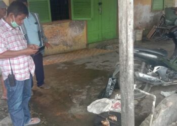 Cerita Warga soal Viral Karung Isi Kucing Dikuliti: Itu Dijual untuk Dimakan