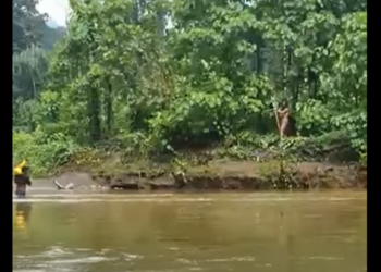 Video Viral Suku Togutil Disebut Memanah Warga, Ini Penjelasan Polda Maluku Utara