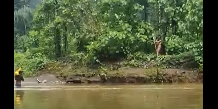Video Viral Suku Togutil Disebut Memanah Warga, Ini Penjelasan Polda Maluku Utara