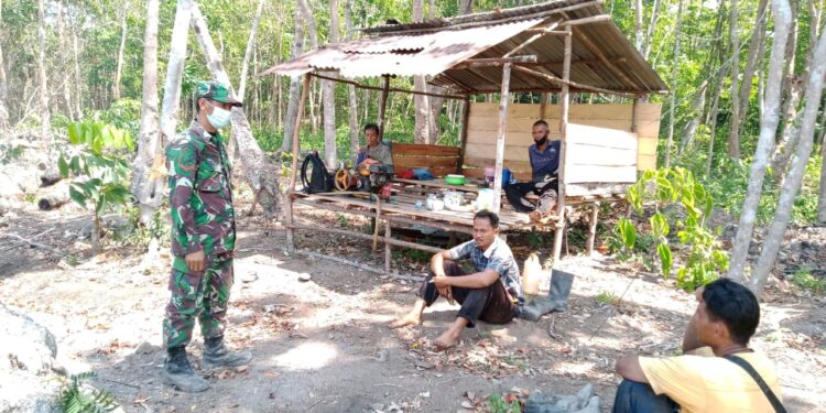 Babinsa Tanjung Hutan Menghimbau Masyarakat Untuk Tidak Melakukan Aktivitas Pembakaran, Khususnya yang Membuka Lahan