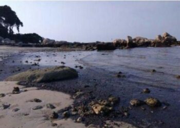 Laut Tercemar Limbah Minyak, Pemkab Bintan Lapor Kemenko Polhukam