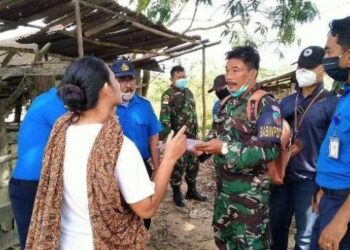Warga Ngeyel Buka Ternak Babi Dekat Bandara Hang Nadim, BP Batam Berang
