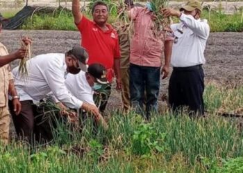 Dinas Pertanian Kabupaten Karimun kunjungi petani Moro