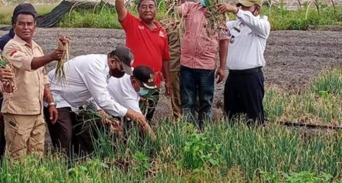 Dinas Pertanian Kabupaten Karimun kunjungi petani Moro