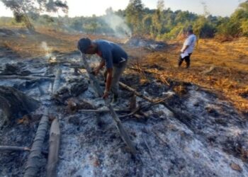 Reskrim Polsek Galang Tangkap Pelaku Pembakaran Hutan Lahan Sembulang