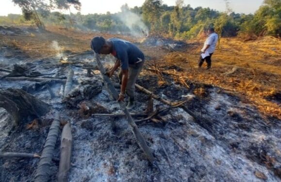 Reskrim Polsek Galang Tangkap Pelaku Pembakaran Hutan Lahan Sembulang