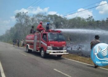 PT Timah Wilayah Kepri dan Riau Sigap Bantu Padamkan Kebakaran Lahan dan Rumah