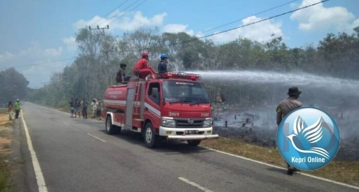 PT Timah Wilayah Kepri dan Riau Sigap Bantu Padamkan Kebakaran Lahan dan Rumah