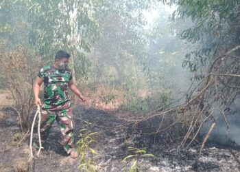 Anggota Koramil 02 Moro Bersama Warga Berhasil Padamkan Kebakaran Lahan Sekitar Walet dan Rumah Ibadah di Moro.