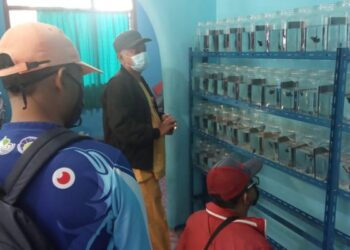 Dinas Perikanan Verifikasi Kelompok Calon Penerima Bantuan APBN 2021