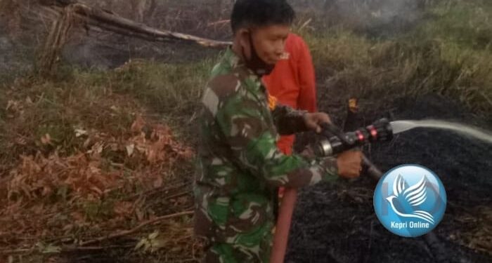 TNI Turun Padamkan Api Kebakaran Lahan Kosong di Kabupaten Karimun