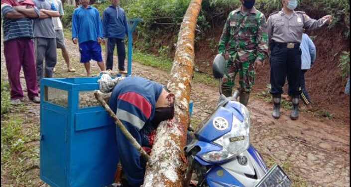 NAHAS, Pedagang Pentol Tewas Tertimpa Pohon Di Jalan, Kepalanya Hancur dan Hilang