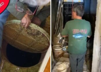 Viral di TikTok, Wanita Ini Temukan Bunker Bom Perang Dingin dan Toko Makanan di Bawah Kamar Tidurnya
