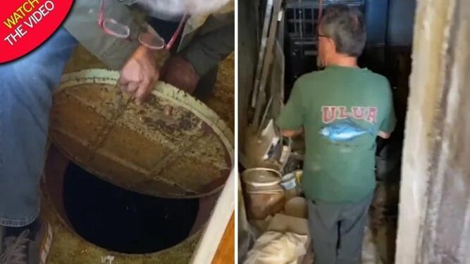 Viral di TikTok, Wanita Ini Temukan Bunker Bom Perang Dingin dan Toko Makanan di Bawah Kamar Tidurnya