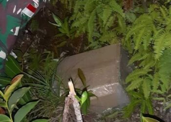 Patroli TNI Perbatasan Gagalkan Penyeludupan Sabu 10 Kg