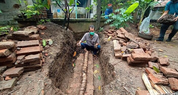Langka! Warga di Kudus Temukan Bonggol Pohon Pisang Berukuran 3 Meter