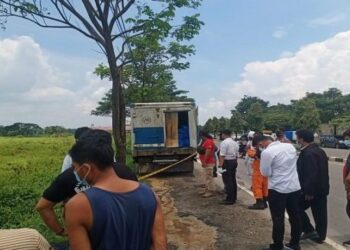 Truk Terparkir Bau Busuk Dikira Bawa Mayat, Isinya Malah Bikin Merinding