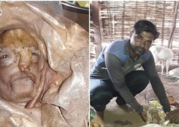 Foto Viral Bayi Kambing dengan Wajah Manusia di India, Dipuja bak Dewa