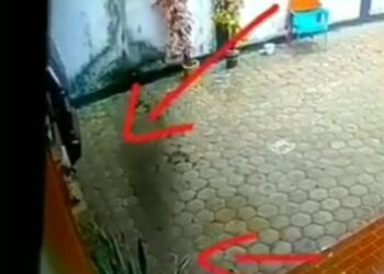 CCTV Babi Ngepet Hebohkan Meulaboh