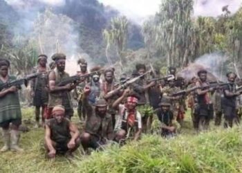 Lima Anggotanya Disebut Tewas, TPNPB: TNI-Polri Bohongi Publik!
