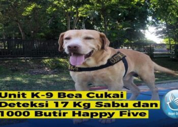 Usai Gagalkan Sabu 1 Ton Kini Anjing Pelacak Bernama Andro Kembali Gagalkan Penyeludupan Sabu 17 Kg