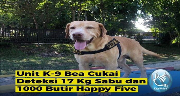 Usai Gagalkan Sabu 1 Ton Kini Anjing Pelacak Bernama Andro Kembali Gagalkan Penyeludupan Sabu 17 Kg