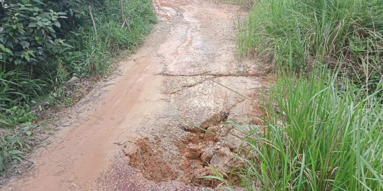 Tokoh pemuda Desa Niur Permai Geram, Terkait Pembangunan Jembatan Penghubung Hampir Putus