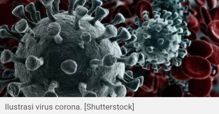 Temuan Intelijen AS Kembali Curigai Virus Corona Berasal dari Laboratorium