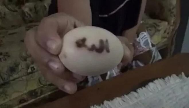 Viral Telur Ayam Lafaz Allah, Semula Dikira Kotoran