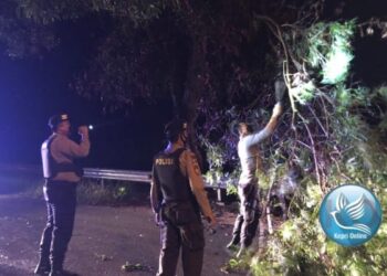 Pohon Tumbang Warga Gunakan Call Center 110 Minta Bantuan Polisi