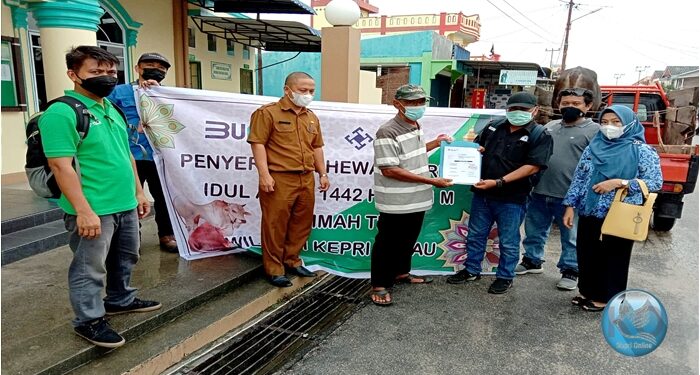 Bagi Kami Ini Berkah yang Luar Bisa, Walaupun Masa Pandemi Covid – 19, PT. Timah Tetap Bagikan 32 Sapi Kurban Idul Adha Untuk Masyarakat