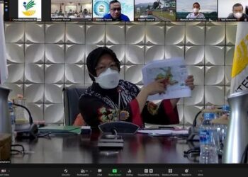 Mensos Minta Kesiagaan Pemerintah Hadapi Potensi Tsunami di Pacitan