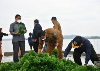 Gubernur Ansar Panen Rumput Laut di Pulau Jaga