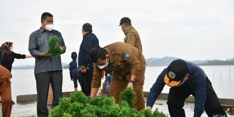 Gubernur Ansar Panen Rumput Laut di Pulau Jaga