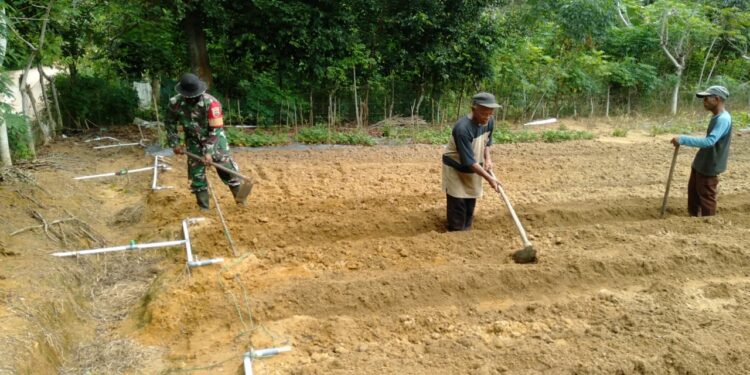 TNI Ambil Peran Meningkatkan Ketahanan Pangan